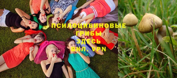 сатива Зеленокумск