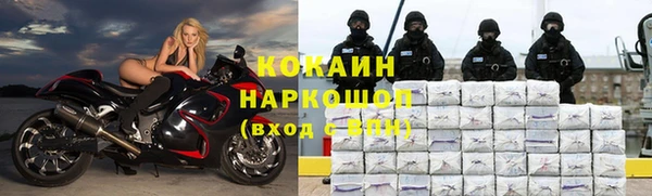 сатива Зеленокумск