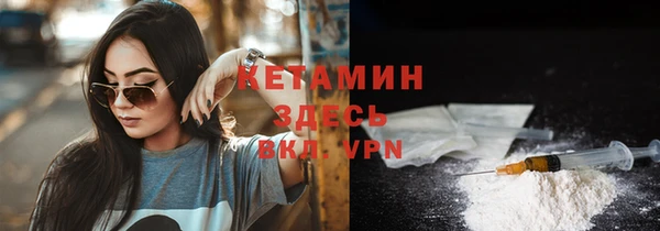 сатива Зеленокумск