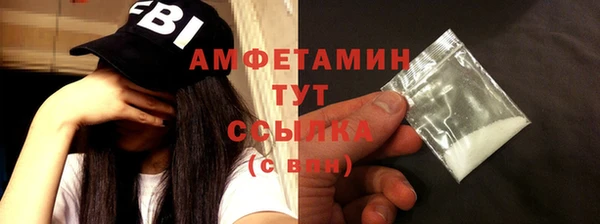 сатива Зеленокумск