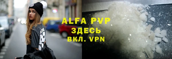 сатива Зеленокумск