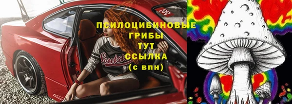 твердый Зеленодольск
