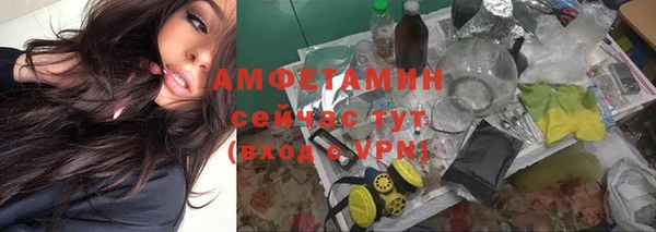 сатива Зеленокумск