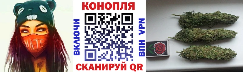 Конопля ГИДРОПОН  Юрьев-Польский 